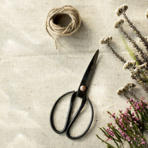 Craft Scissors with Decorative Blades – 5 Pack