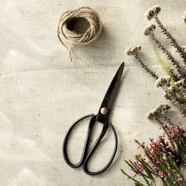 Craft Scissors with Decorative Blades – 5 Pack